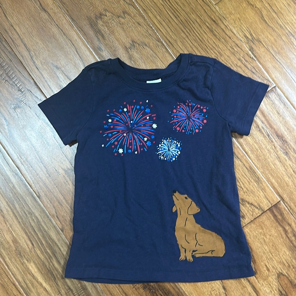 EUC Hanna Andersson T-Shirt Size 5